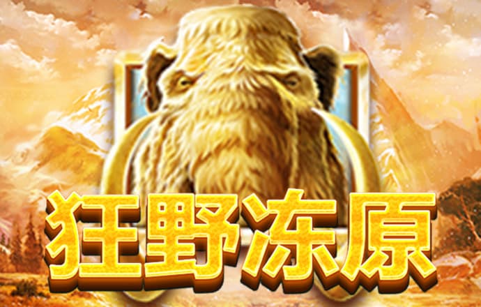 ng官网